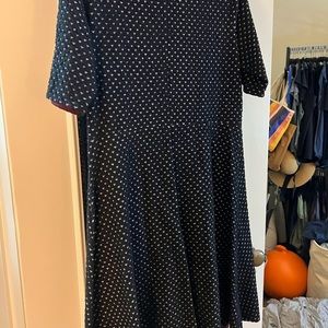 Lands End Skater Dress
